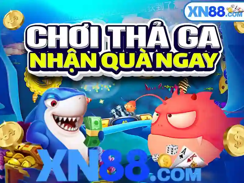 Kết luận và lưu ý