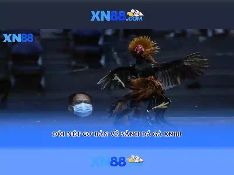 game-bai-intro
