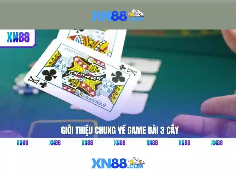 Kết luận về xn88