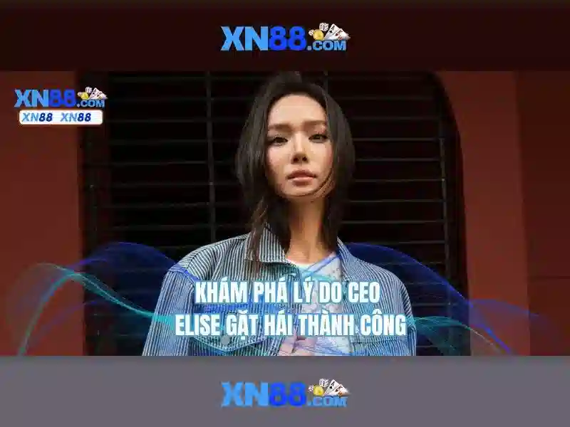 Các trò chơi và tính năng nổi bật
