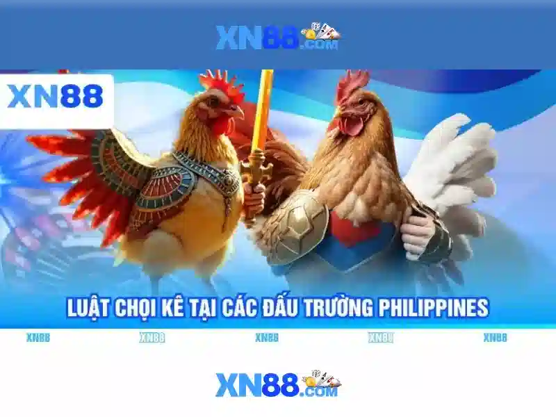 xn88: Tổng quan, an toàn và mẹo chơi