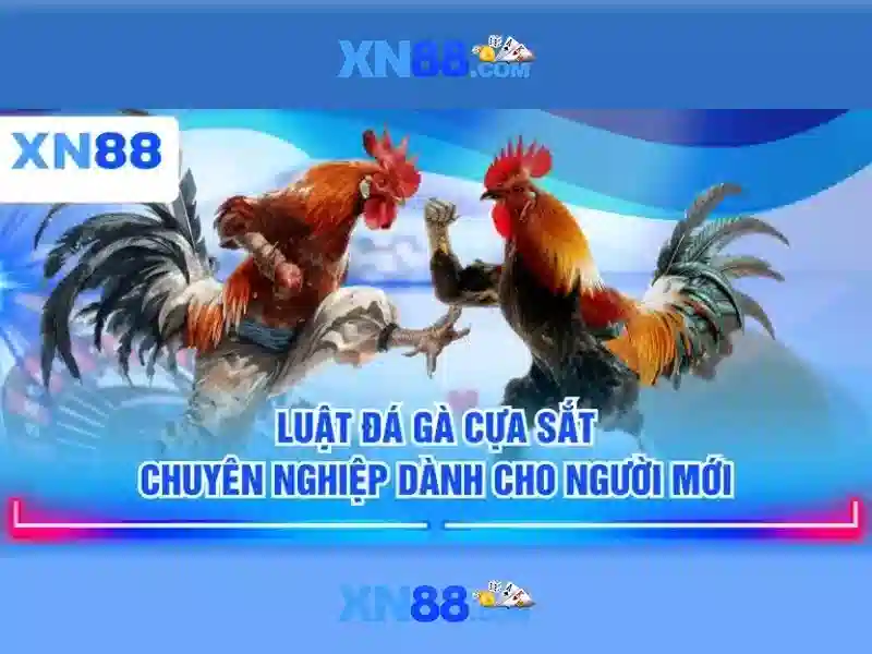 XN88 - Nền tảng cá cược trực tuyến và giải trí toàn diện