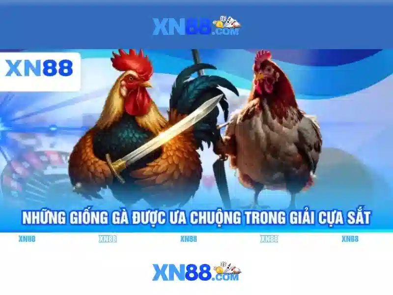 Cách sử dụng và lưu ý an toàn xn88