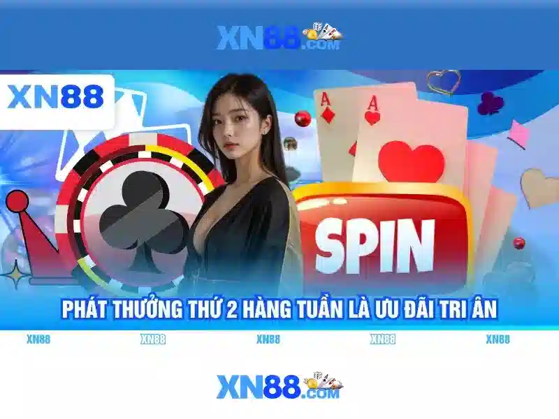 'Xn88 là gì?'