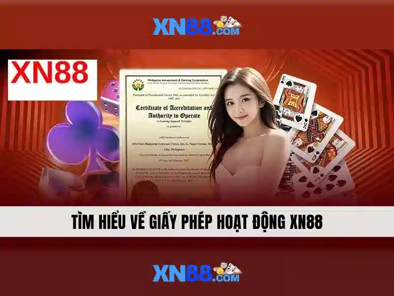 Tính khả dụng và thanh toán của xn88