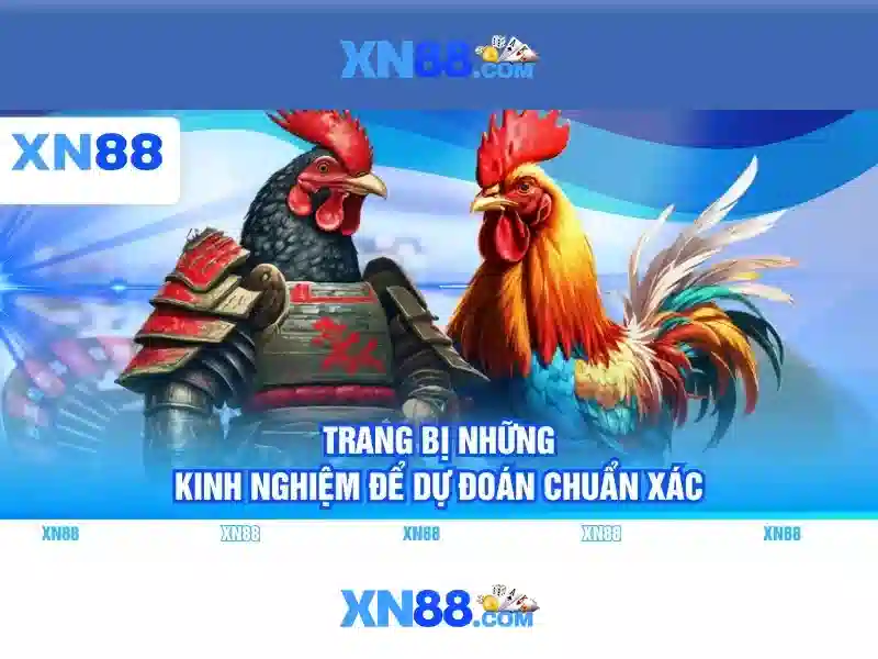 xn88: Đánh giá nền tảng chơi trực tuyến và các tính năng