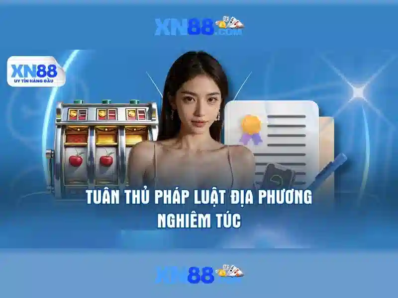 Giao diện và trải nghiệm người dùng