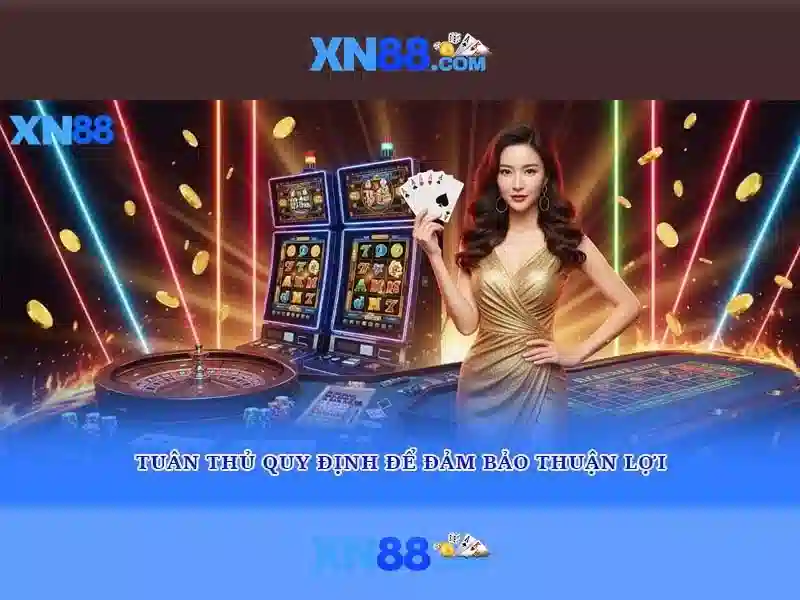 Nền tảng và hệ sinh thái của Xn88