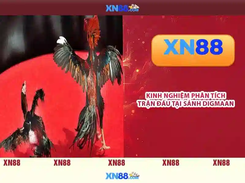 Tính năng nổi bật