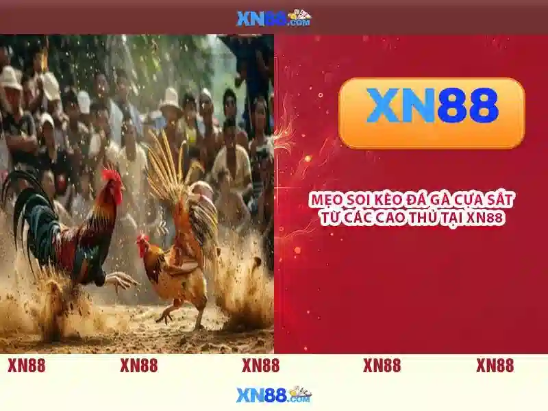 Xn88: Tổng quan về nền tảng cược trực tuyến và cơ hội tham gia