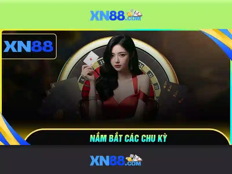 Giới thiệu về xn88