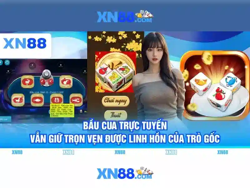 Tổng quan về xn88