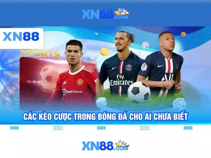 Các trò chơi phổ biến