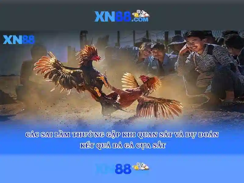 Cách đánh giá xn88 một cách khách quan
