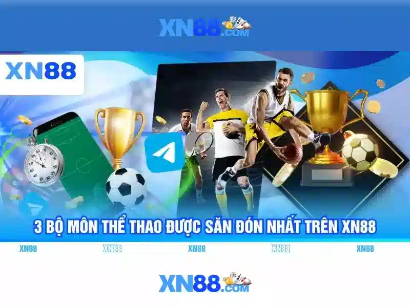 Đội ngũ hỗ trợ và tương tác cộng đồng