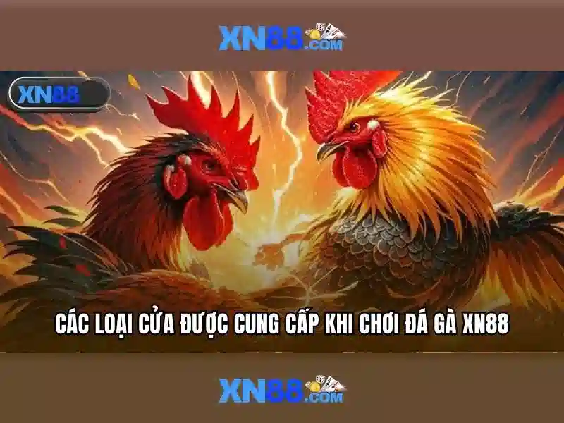 Khuyến mãi và chương trình thưởng