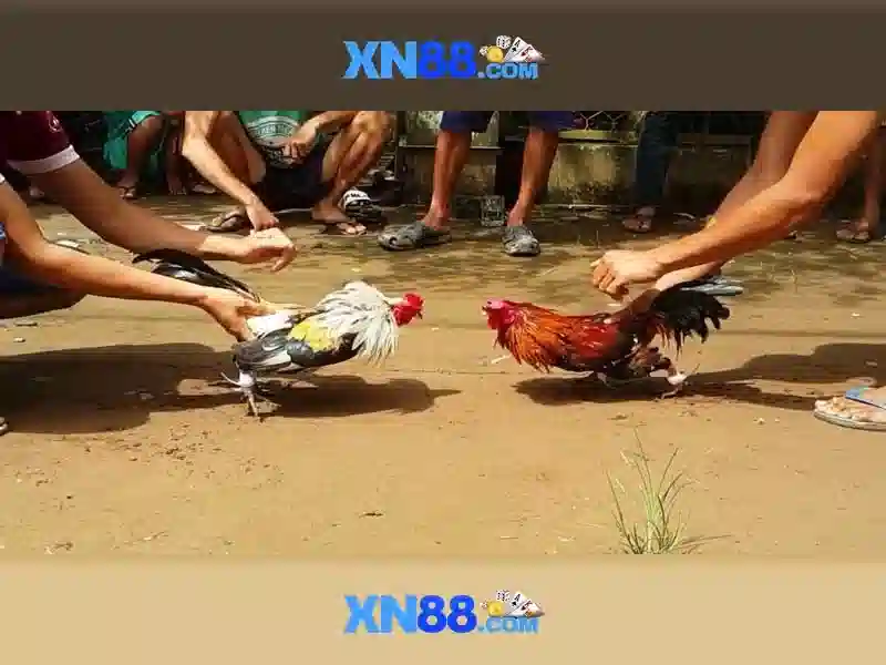 Trò chơi và trải nghiệm người dùng