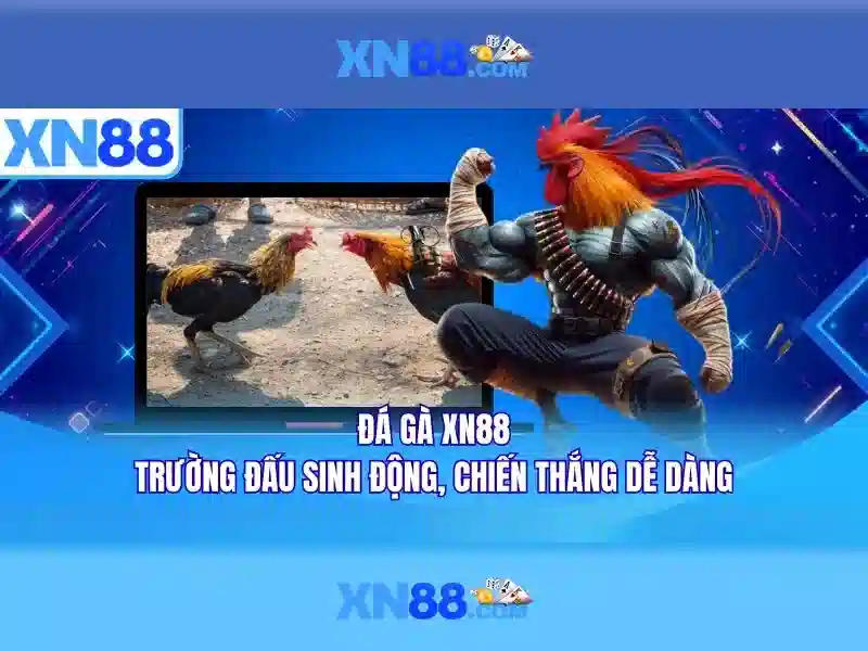 Dịch vụ và trò chơi