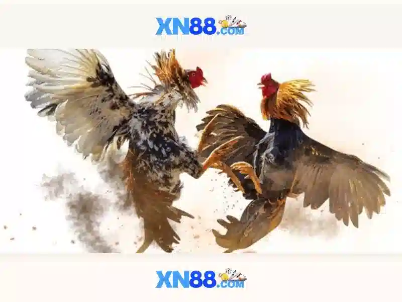 Giao diện và trải nghiệm người dùng