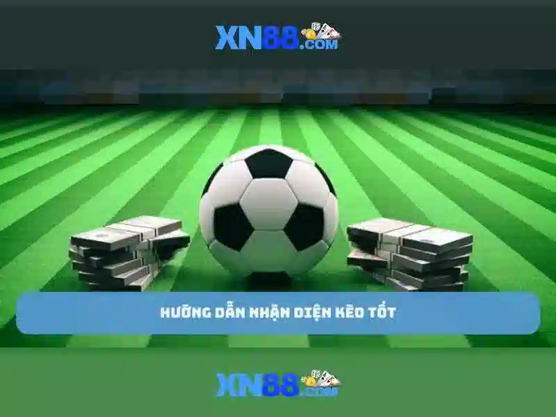 Giới thiệu về xn88