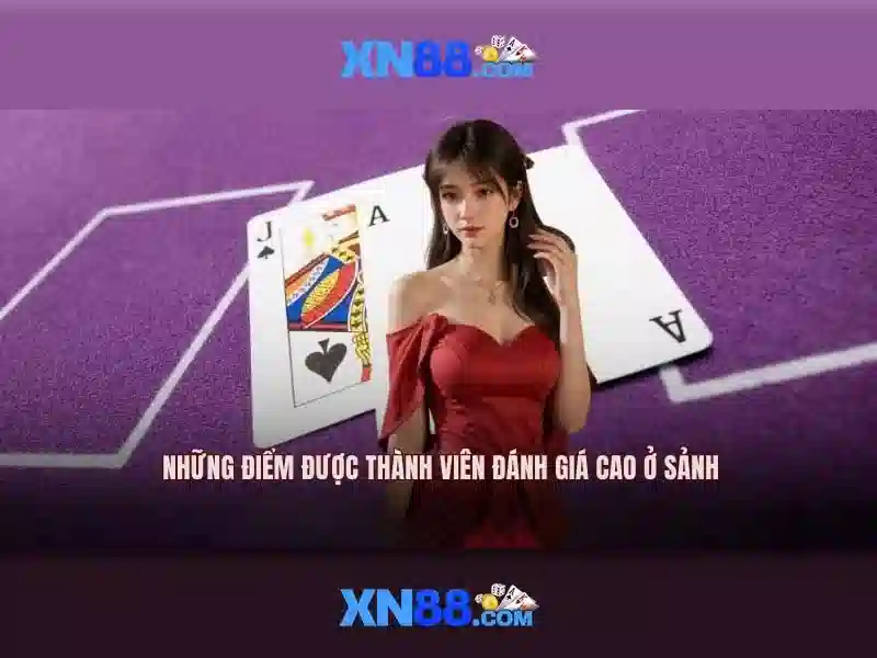 Lịch sử của xn88