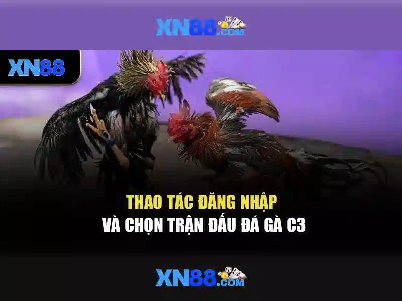 Kiến trúc và công nghệ đằng sau xn88