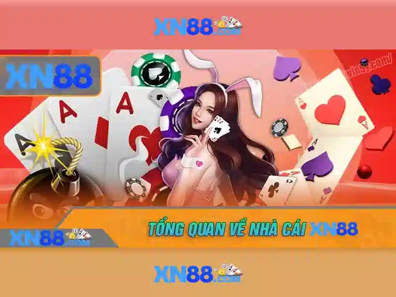 xn88 và những gì bạn cần biết