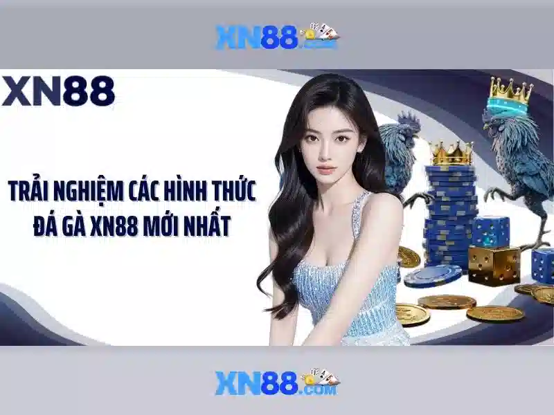 An toàn và quản trị rủ ro