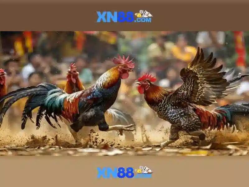 Tổng quan về xn88 và những điều người chơi cần biết