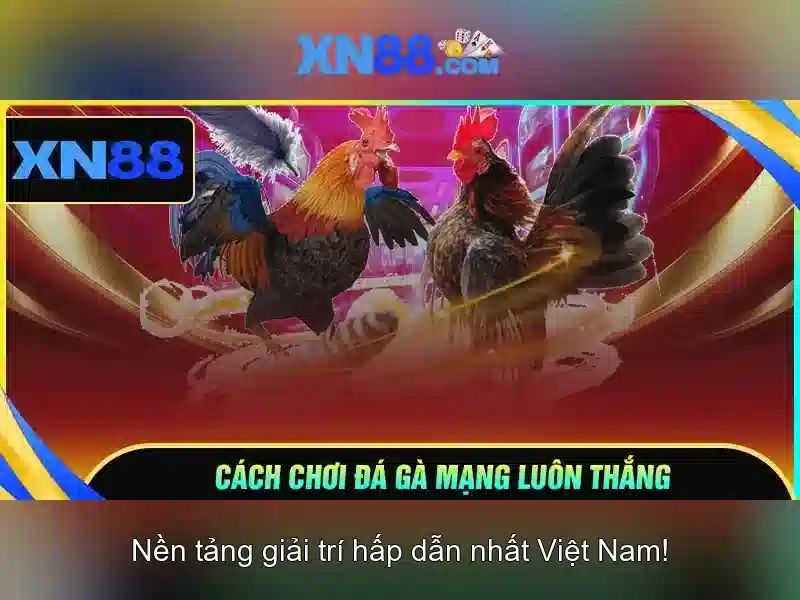 XN88: Tổng quan, tính năng và mẹo chơi