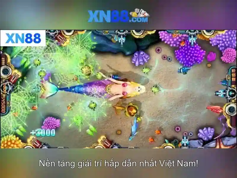 Phân tích rủi ro và khuyến nghị