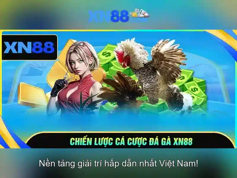 Khuyến mãi và chương trình khách hàng