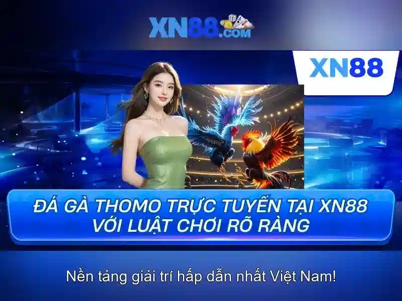 Đặc điểm nổi bật