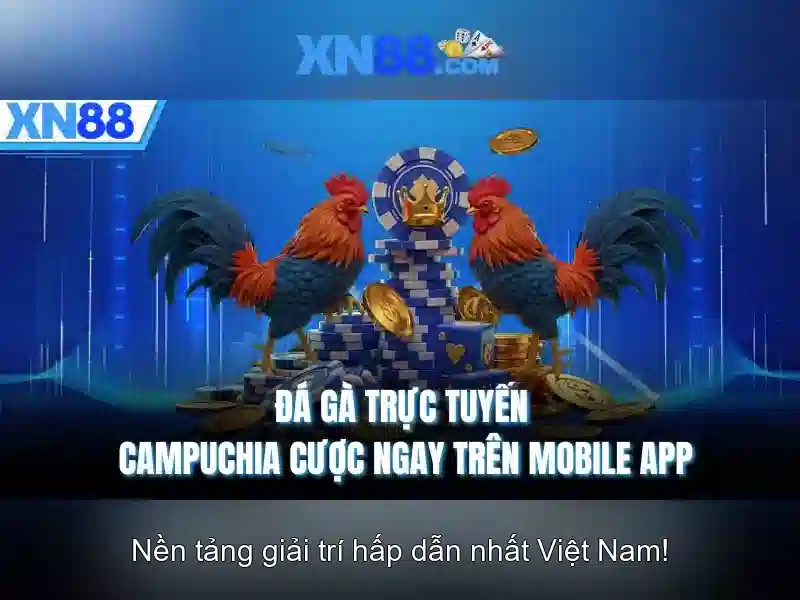 xn88: Nền tảng giải trí và cược trực tuyến tại Việt Nam