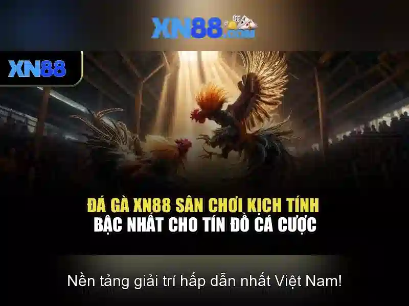 An toàn và lộ trình phát triển