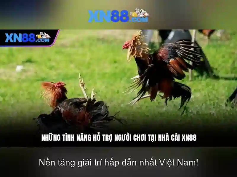 Xn88 - Giới thiệu nền tảng chơi game trực tuyến
