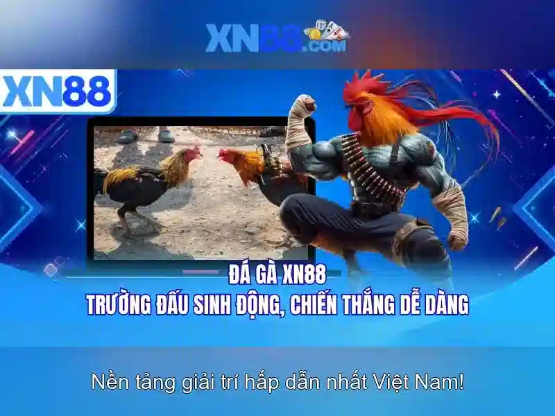 Xn88: Đánh giá và giới thiệu nền tảng giải trí trực tuyến