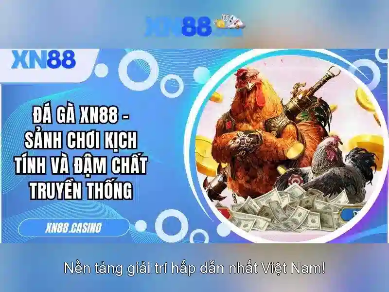 Tại sao nên chọn XN88