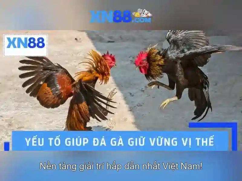 Dịch vụ và tính năng của xn88