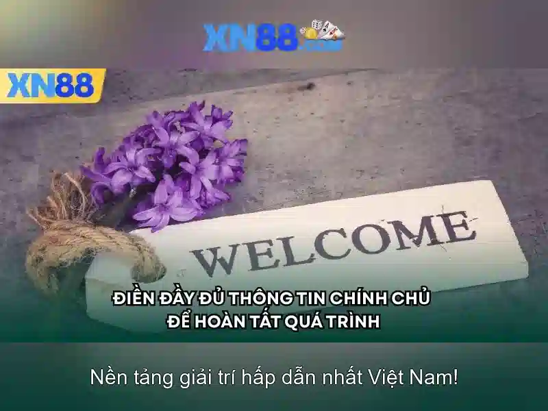 xn88: Tổng quan và hướng dẫn sử dụng
