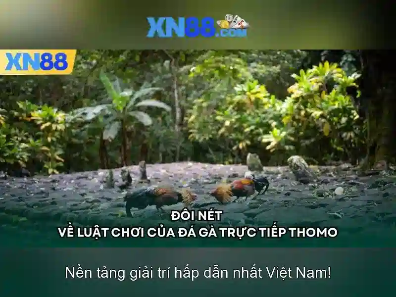 Xn88 là gì