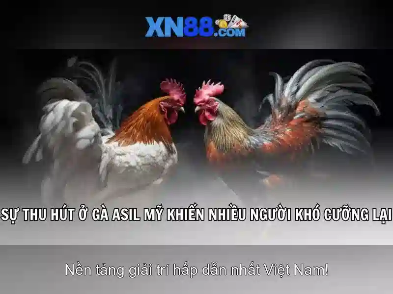 An toàn và trách nhiệm khi tham gia xn88
