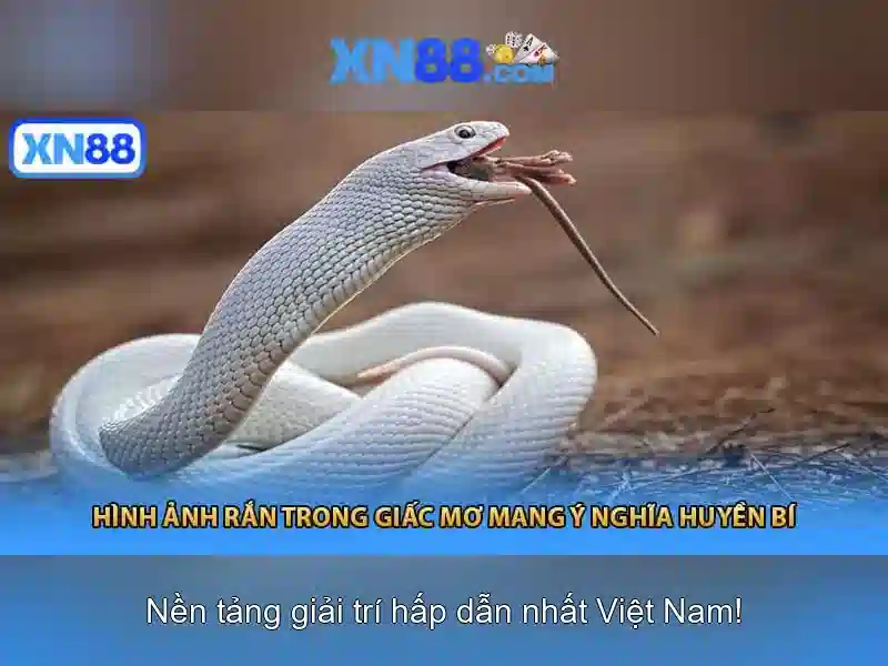 Trò chơi nổi bật tại xn88