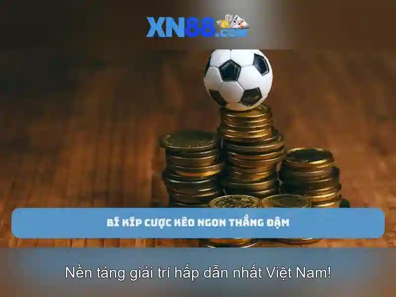 Giới thiệu về xn88