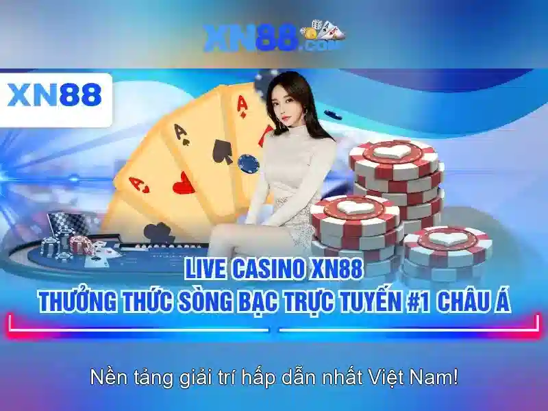 Trải nghiệm người dùng và đánh giá