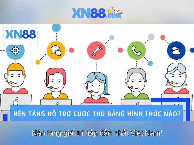 Nền tảng và trải nghiệm người dùng
