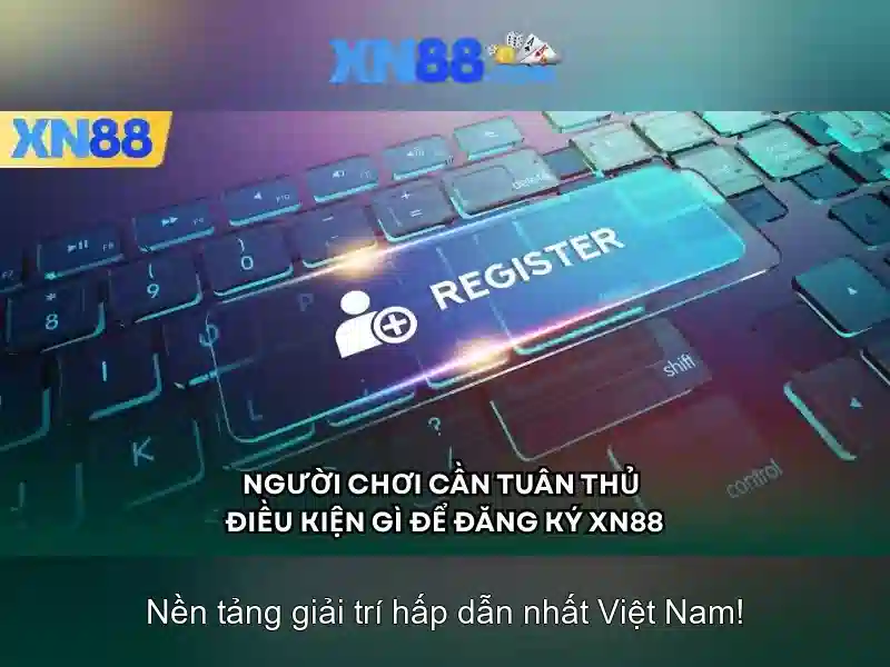Lĩnh vực hoạt động và sản phẩm