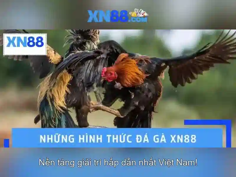 xn88: Khái niệm, trò chơi và đánh giá an toàn
