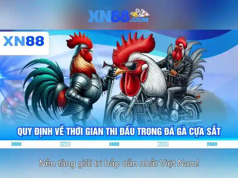 Hỗ trợ người chơi và cộng đồng