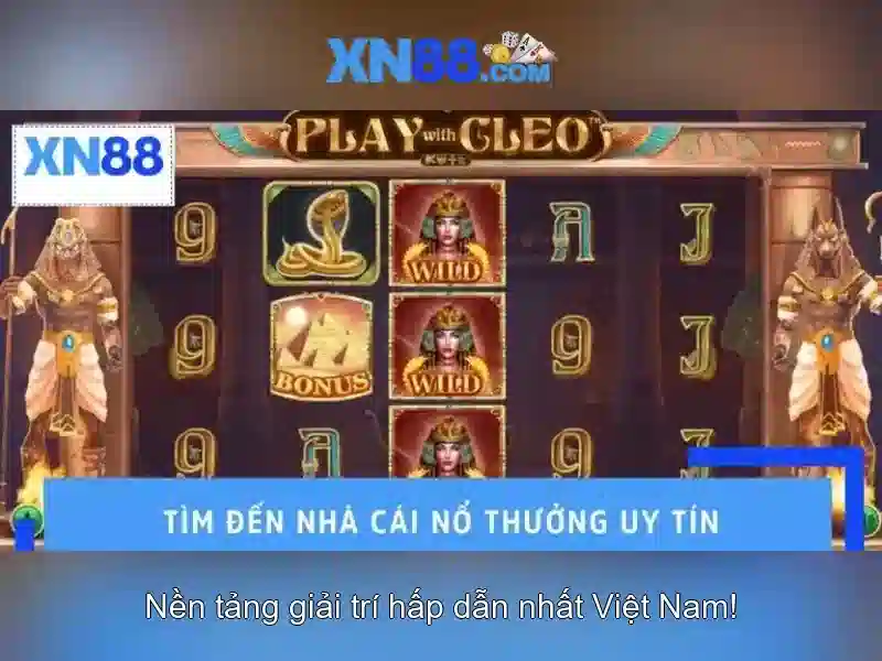 Cộng đồng và hỗ trợ người dùng